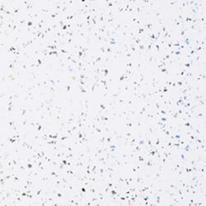Multipanel Classic Blizzard Bathroom Wall Panel