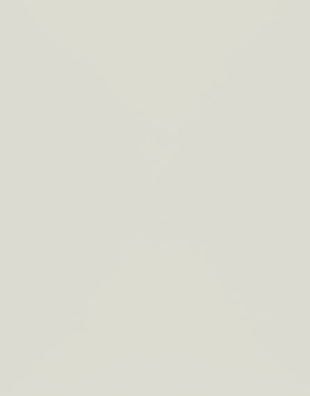 Selkie Ash Tongue & Groove Matt MDF Wall Panel