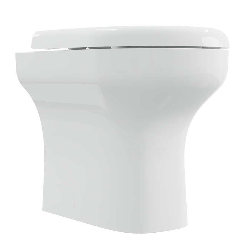AKW Navlin Back to Wall or Low Level Toilet, photo 4