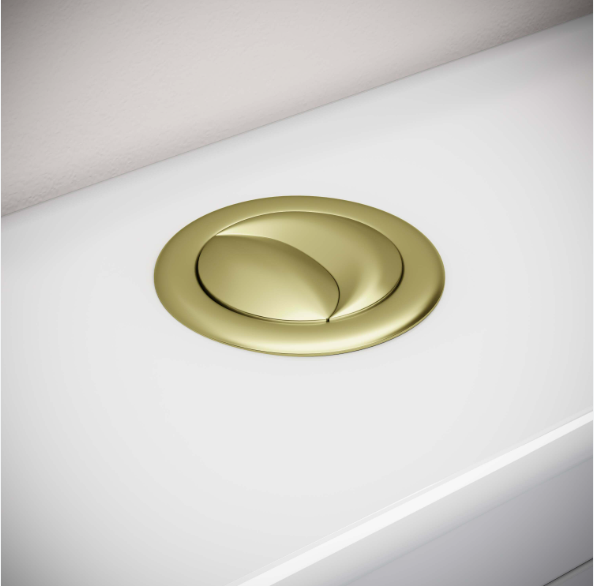 Toilet Push Buttons