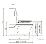 Closomat Palma Vita Wash & Dry Toilet - Standard Single Spray Douche Arm