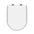 Nuie D-Shaped Soft Close Toilet Seat With Top Fix Hinge – 40mm High – Gloss White
