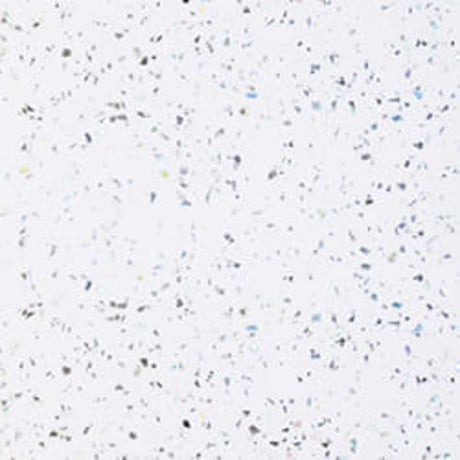 Multipanel Classic Blizzard Bathroom Wall Panel