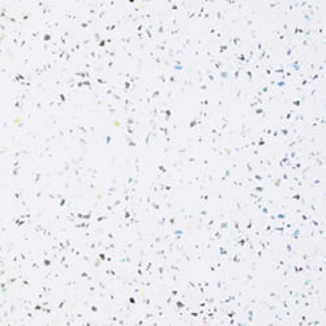 Multipanel Classic Blizzard Bathroom Wall Panel