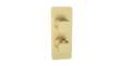 Kartell K-VIT Kolt Concealed Shower Valve Single Outlet in brushed brass