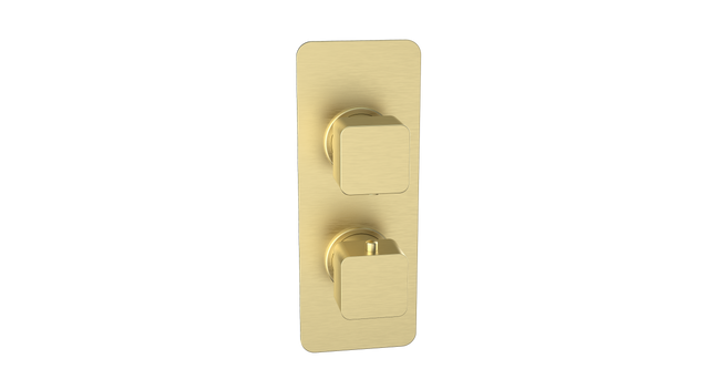 Kartell K-VIT Kolt Concealed Shower Valve Twin Outlet in brushed brass