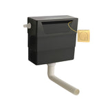 Nuie Concealed Cistern With Contemporary Dual Flush Plate – Chrome, Brushed Brass or Brushed Pewter, photo 2