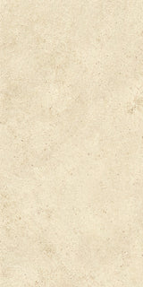 Bodega white matt porcelain tile surface close-up