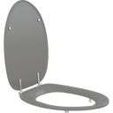 Pressalit Dania toilet seat with cover, anthracite