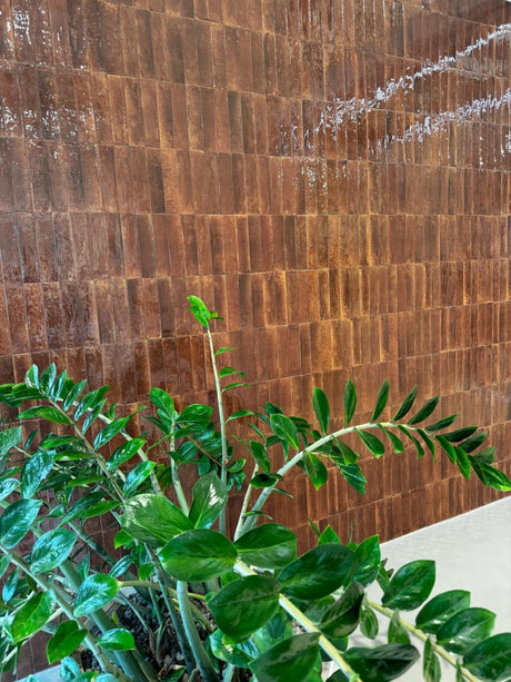 Montauk caramel gloss porcelain wall and floor tile 240x60mm
