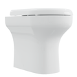 AKW Navlin Back to Wall or Low Level Toilet, photo 4