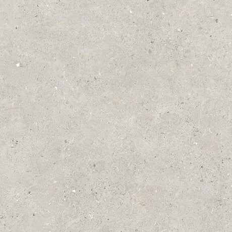 Savannah light grey stone effect matt porcelain wall and floor tile 600x600mm