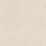 Savannah sand aged-stone porcelain tile surface