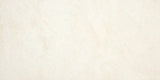 Westerly Bone matt ceramic wall tile 300x600mm detail