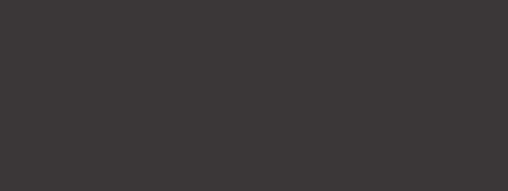 Westport dark brown matt ceramic wall tile 100x300mm