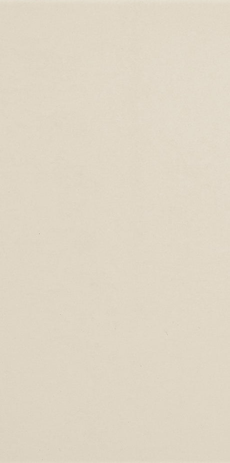 Wilmington snow plain matt porcelain wall & floor tile, 300x600mm – view 3