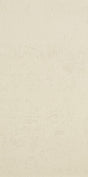 Wilmington snow plain polished porcelain wall & floor tile, 300x600mm