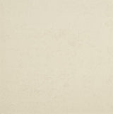 Wilmington snow plain polished porcelain wall & floor tile, 600x600mm – view 2