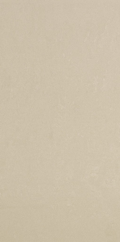 Wilmington white plain matt porcelain wall & floor tile, 300x600mm